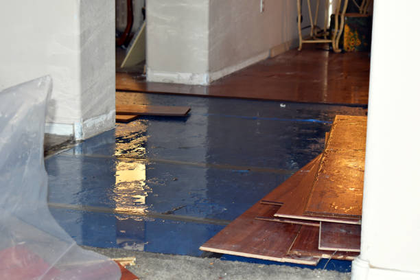 Professional Sewage Cleanup technician working in Three Lakes, FL